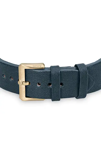 Rado Captain Cook Automatic Bronze R32504205