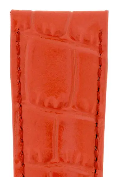 Hirsch Strap Louisianalook M 03427120-2-18