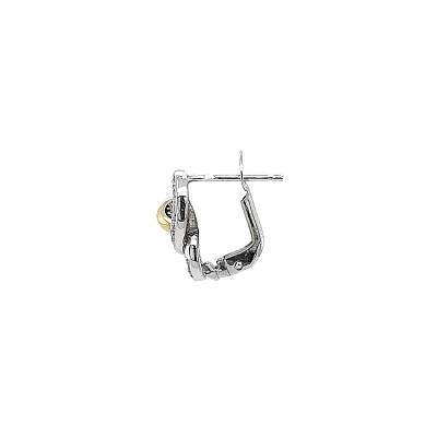 Earrings with Zircones in Gold
