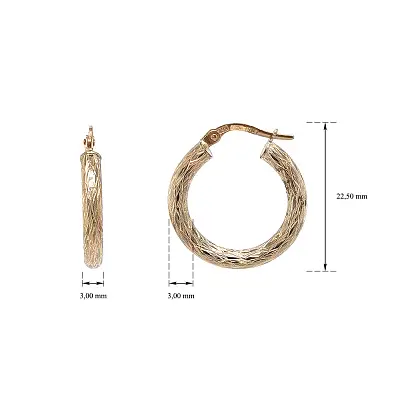 Elegant Gold Hoop Earrings