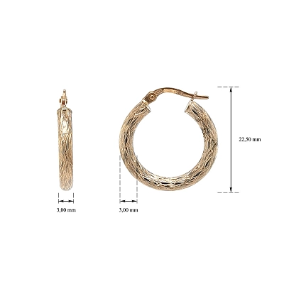 Elegant Gold Hoop Earrings