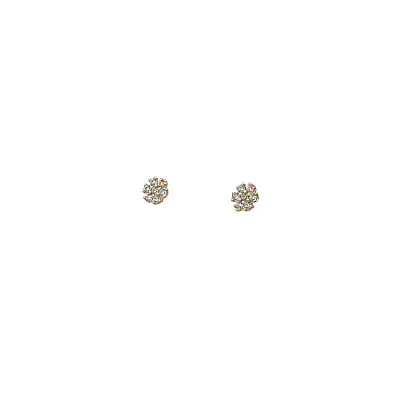 Gold Pecky Earrings with Zircones