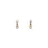 Elegant Gold Earrings with Zircon and Teardrop Design