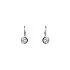 Earrings with White Gold Zircons