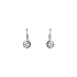 Earrings with White Gold Zircons