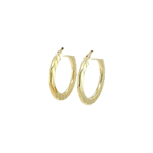 Elegant gold hoop earrings