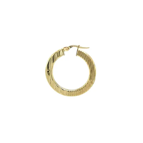Elegant gold hoop earrings