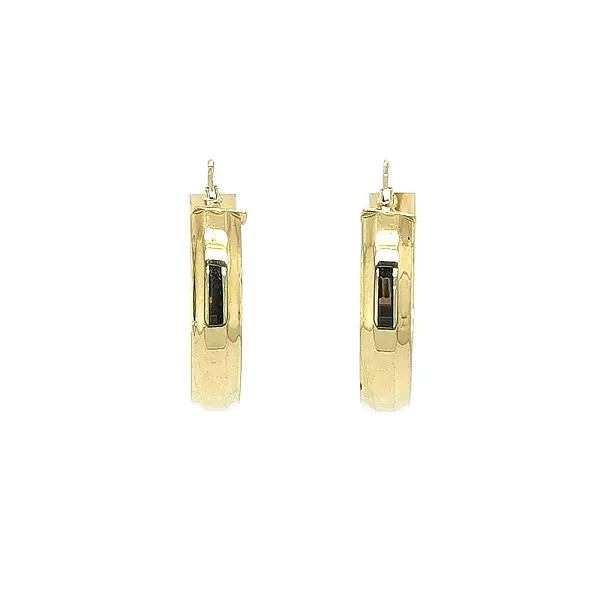 Elegant gold hoop earrings