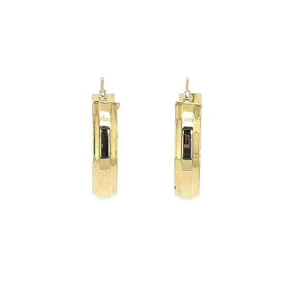 Elegant gold hoop earrings