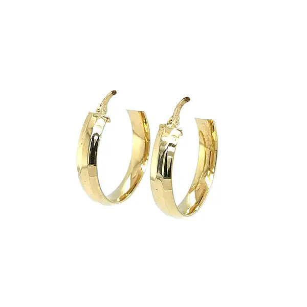 Elegant gold hoop earrings