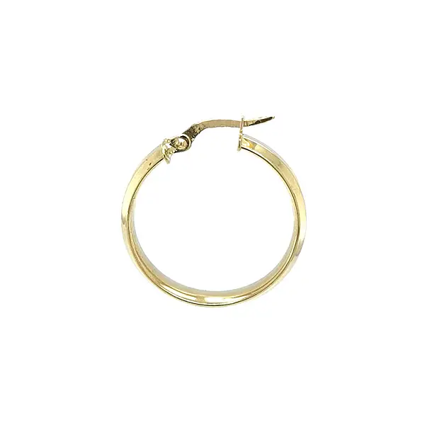 Elegant gold hoop earrings