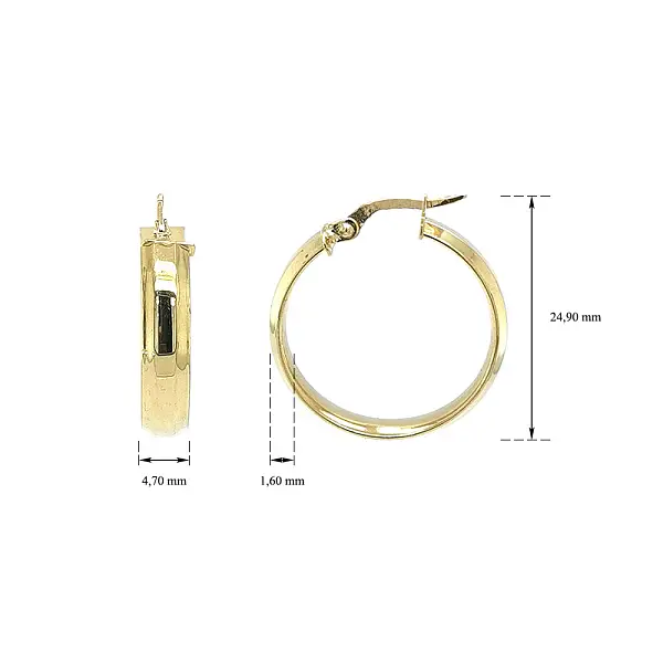 Elegant gold hoop earrings