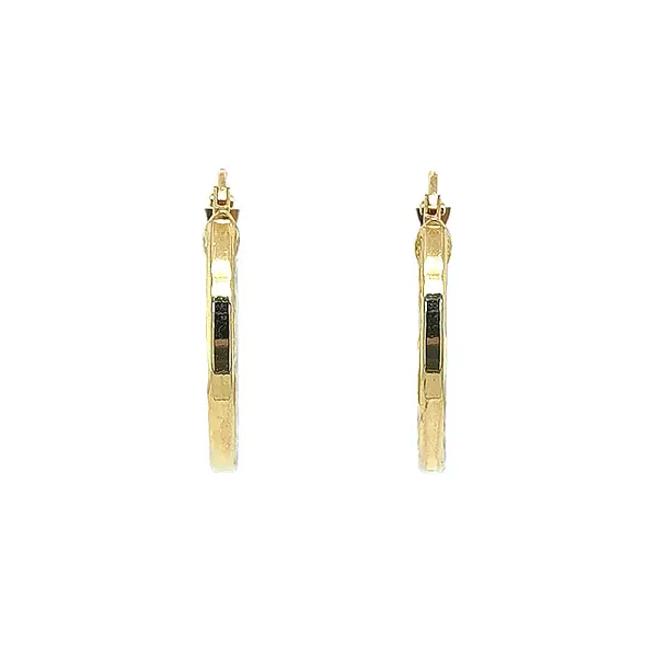 Elegant gold hoop earrings