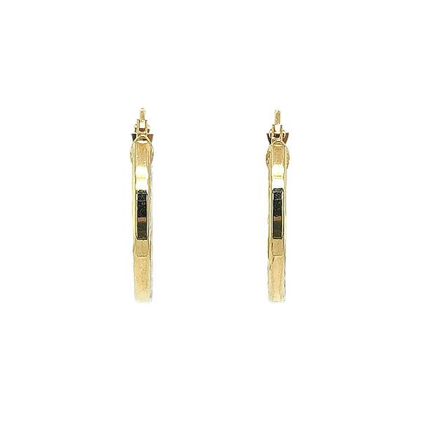 Elegant gold hoop earrings