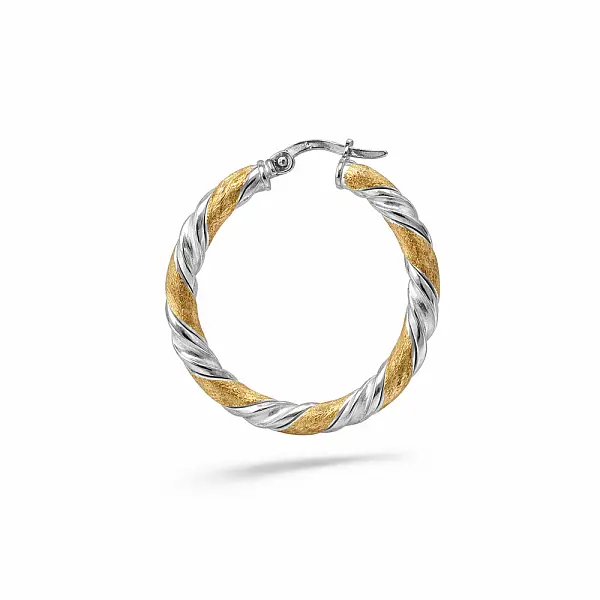 Two-Tone Gold Hoop Earrings