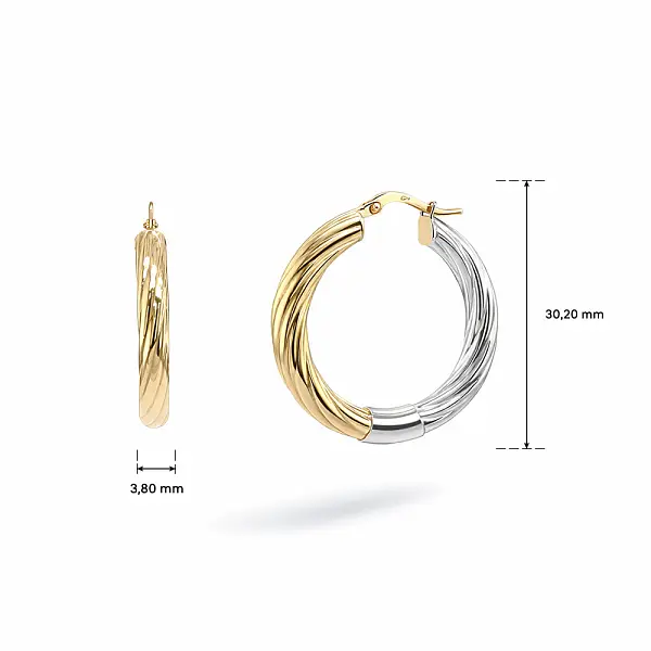Two-Tone Gold Hoop Earrings