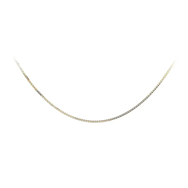 Delicate Gold Box Chain