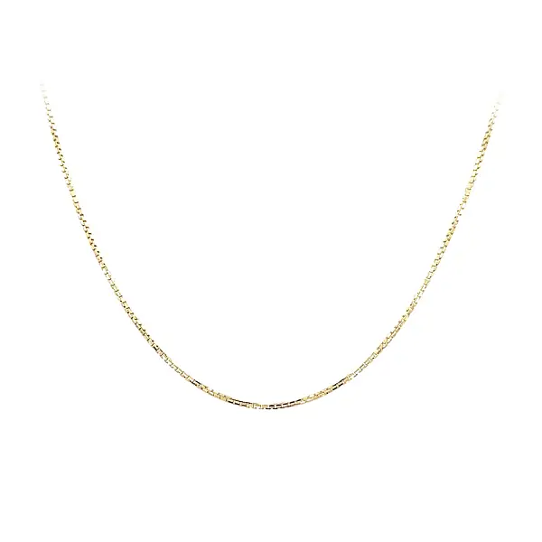 Delicate Gold Box Chain