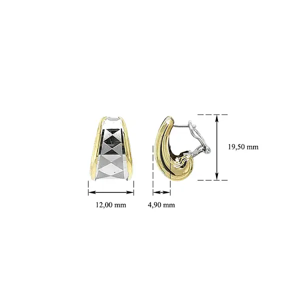 Earrings made of Combination Gold