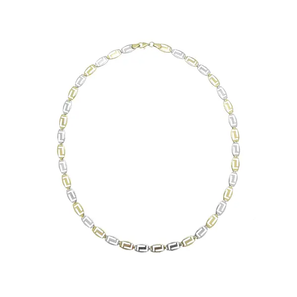 Ladies Necklace made of Combination Gold