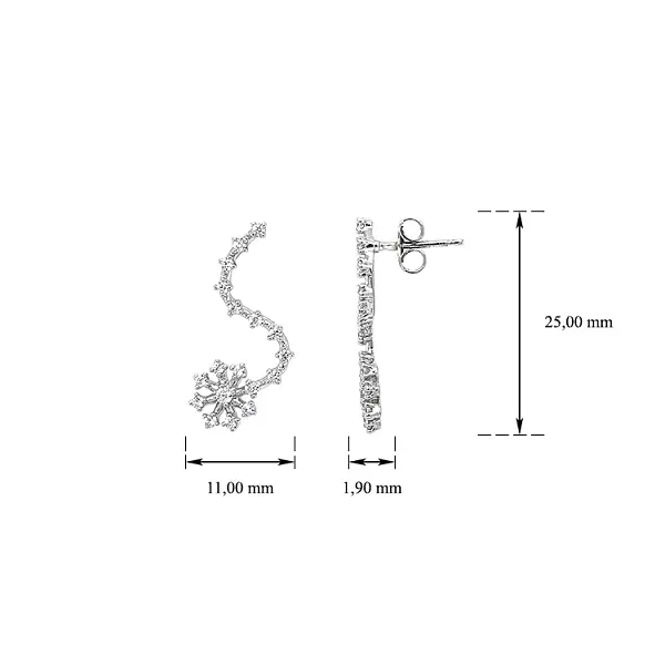 Earrings with White Gold Zircons