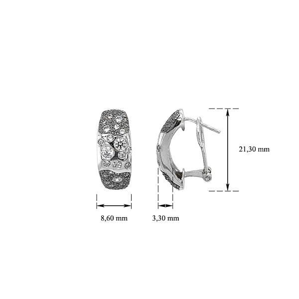 Earrings with White Gold Zircons