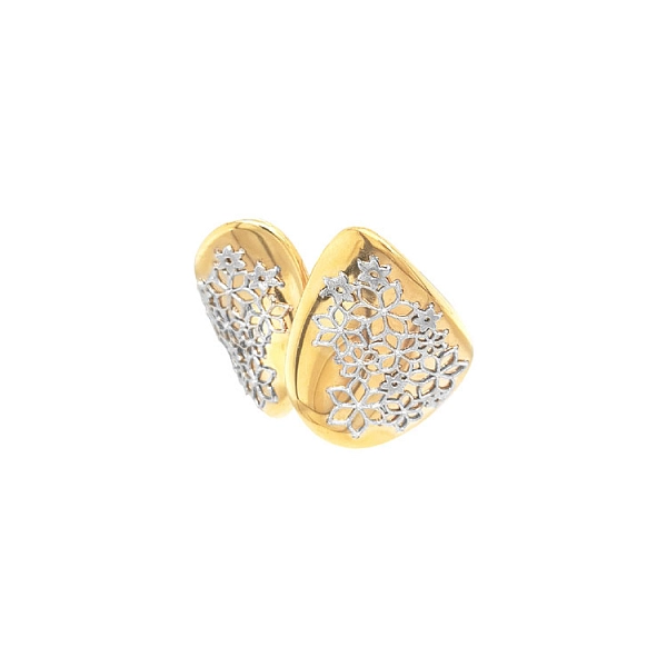 Gold Distinctive Earrings