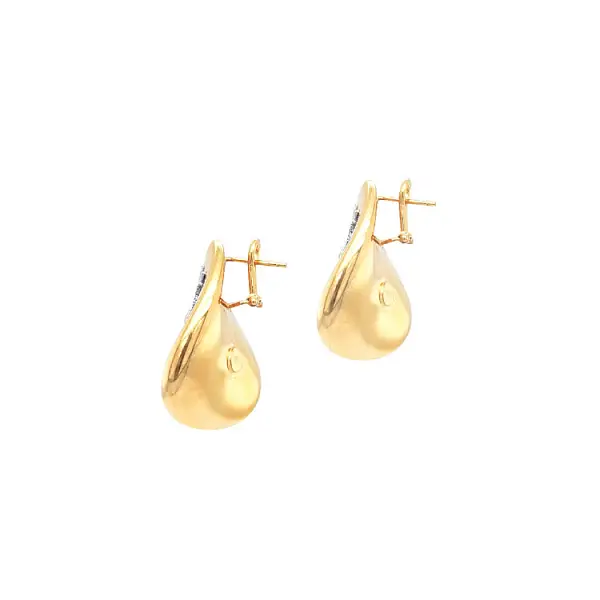 Gold Distinctive Earrings
