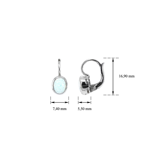 White Gold earrings with Opal
