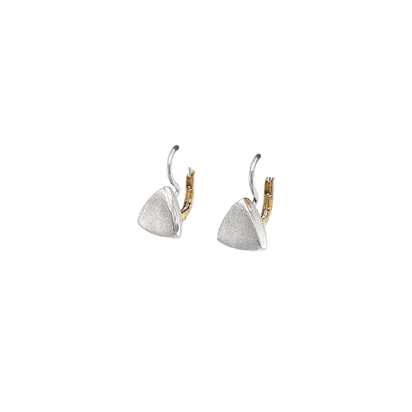 Earrings made of Combination Gold