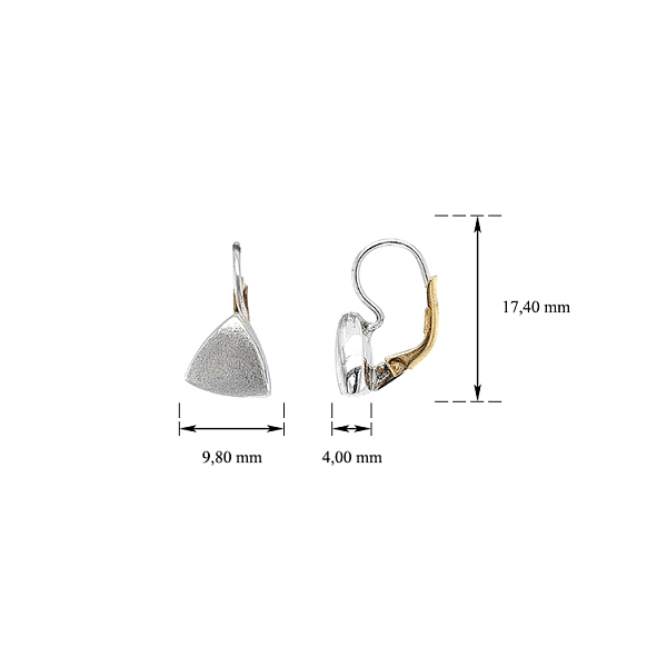 Earrings made of Combination Gold