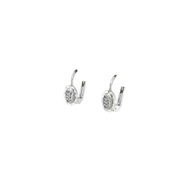 Earrings with White Gold Zircons