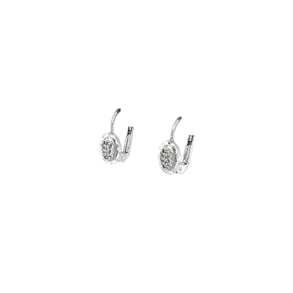 Earrings with White Gold Zircons