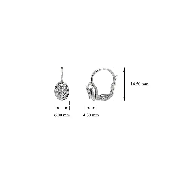 Earrings with White Gold Zircons