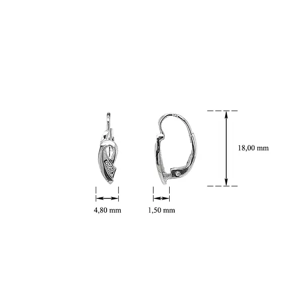 Earrings with White Gold Zircons