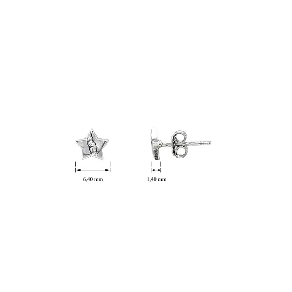 White Gold Earrings in Star Shape with Zircons
