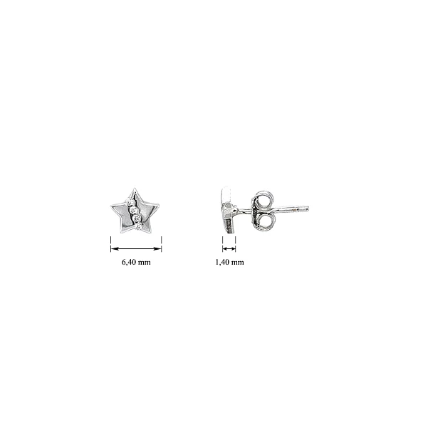 White Gold Earrings in Star Shape with Zircons