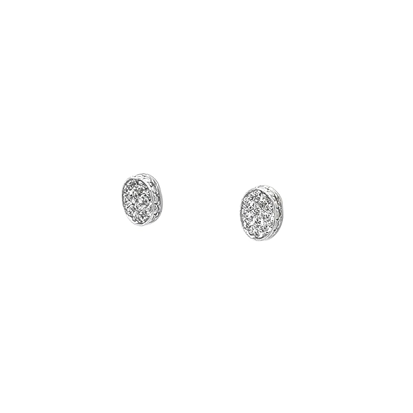 Shining White Gold Earrings with Fine Glitter