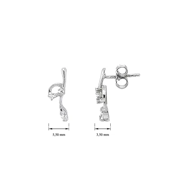 Shining Earrings with Crystalline Beauty Zircones