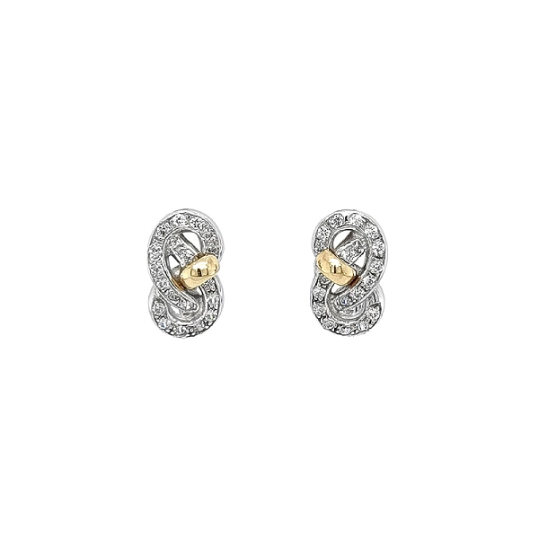 Earrings with Zircones in Gold