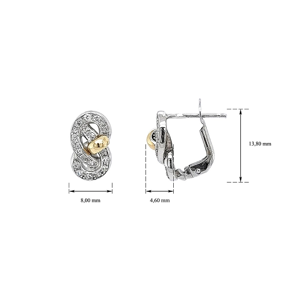 Earrings with Zircones in Gold