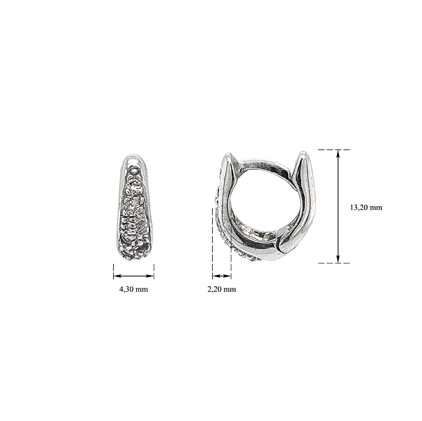 Earrings with White Gold Zircons