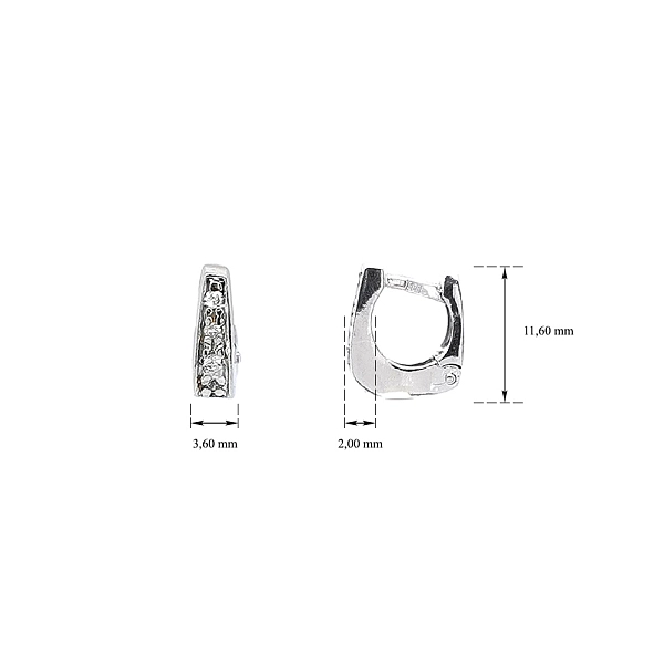 Decent White Gold Earrings with Zircons