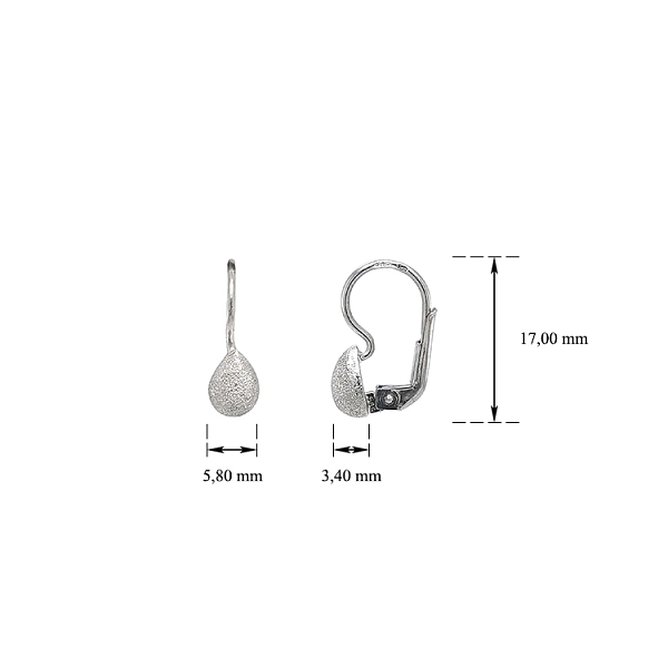White Gold Earrings