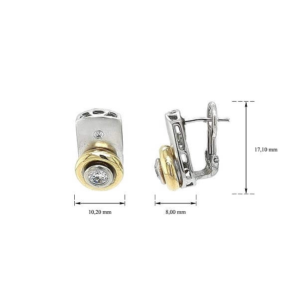 Elegant Two-Tone Gold Earrings with Zirconia