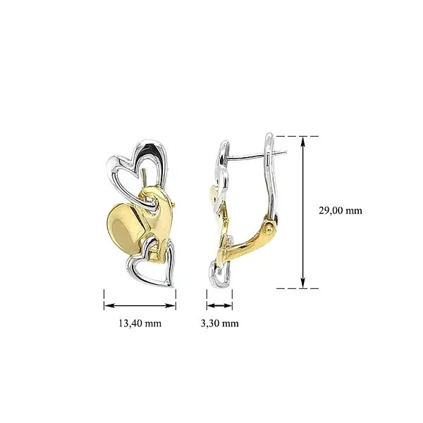 Earrings Sdrce made of Mixed Gold