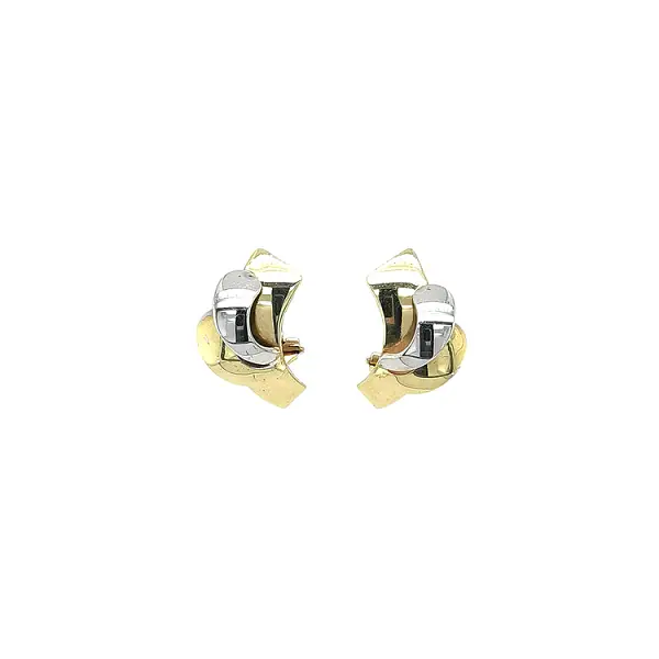 Earrings made of Combination Gold