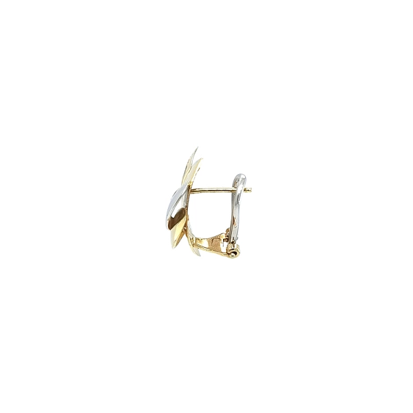 Earrings made of Combination Gold