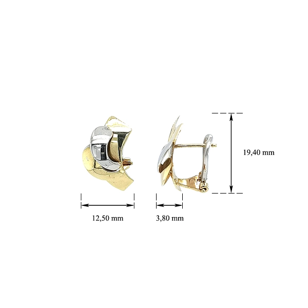 Earrings made of Combination Gold