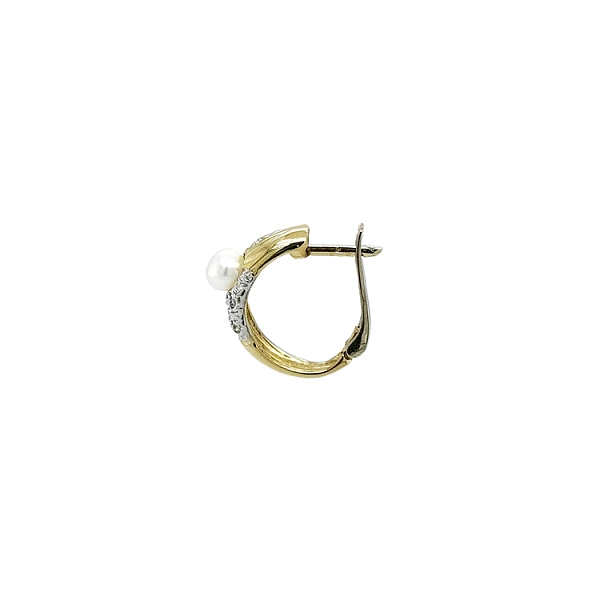 Gold Earrings with Pearl and Zircones